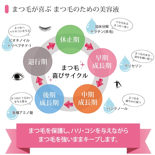 11251320_5655370bd7033